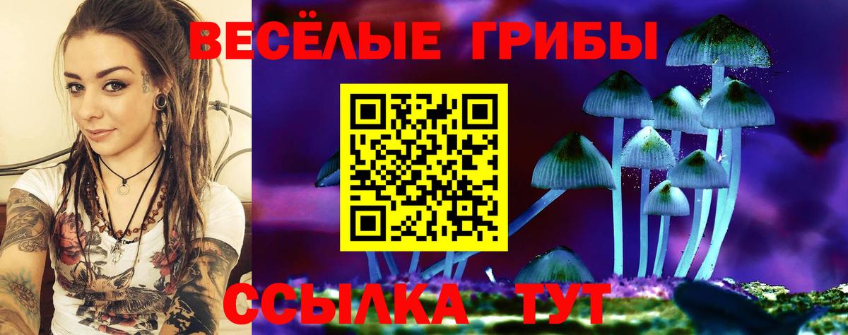 Галлюциногенные грибы прущие грибы Владивосток