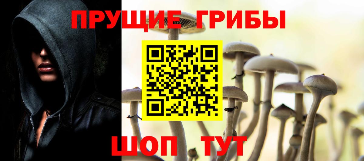 Владивосток  Псилоцибиновые грибы Psilocybine cubensis  Вход с VPN 
